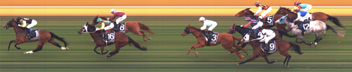 Stake Horse Racing